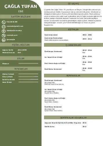 Ebe Cv Örnekleri cv indir